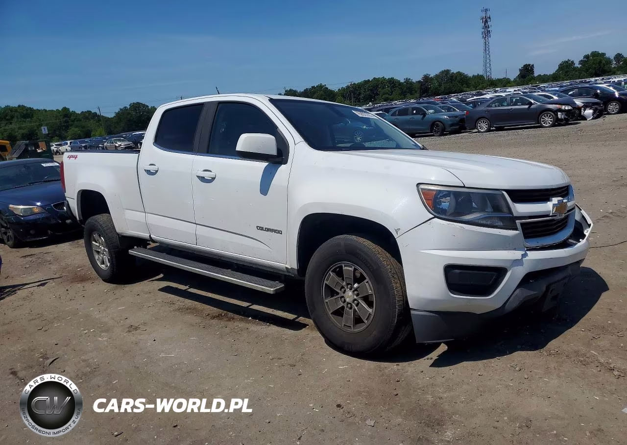 2019 Chevrolet Colorado VIN:1GCGTBEN1K1126189 - 4