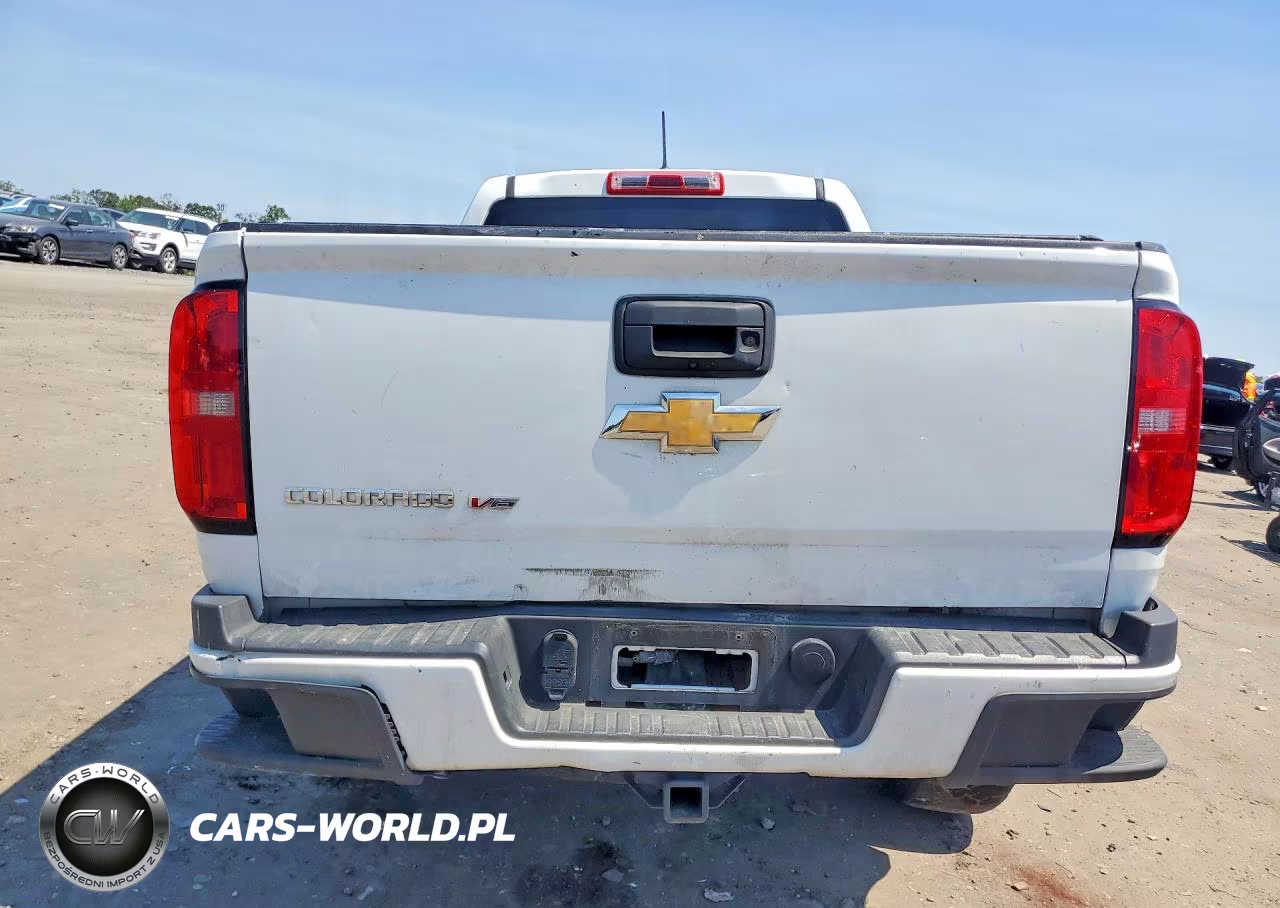 2019 Chevrolet Colorado VIN:1GCGTBEN1K1126189 - 6