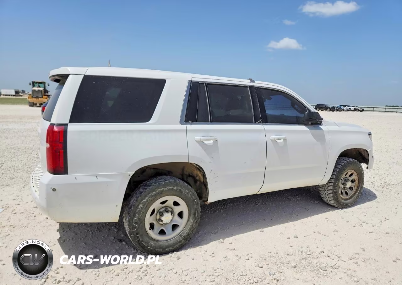 2017 Chevrolet Tahoe Special VIN:1GNSKFEC9HR271386 - 3