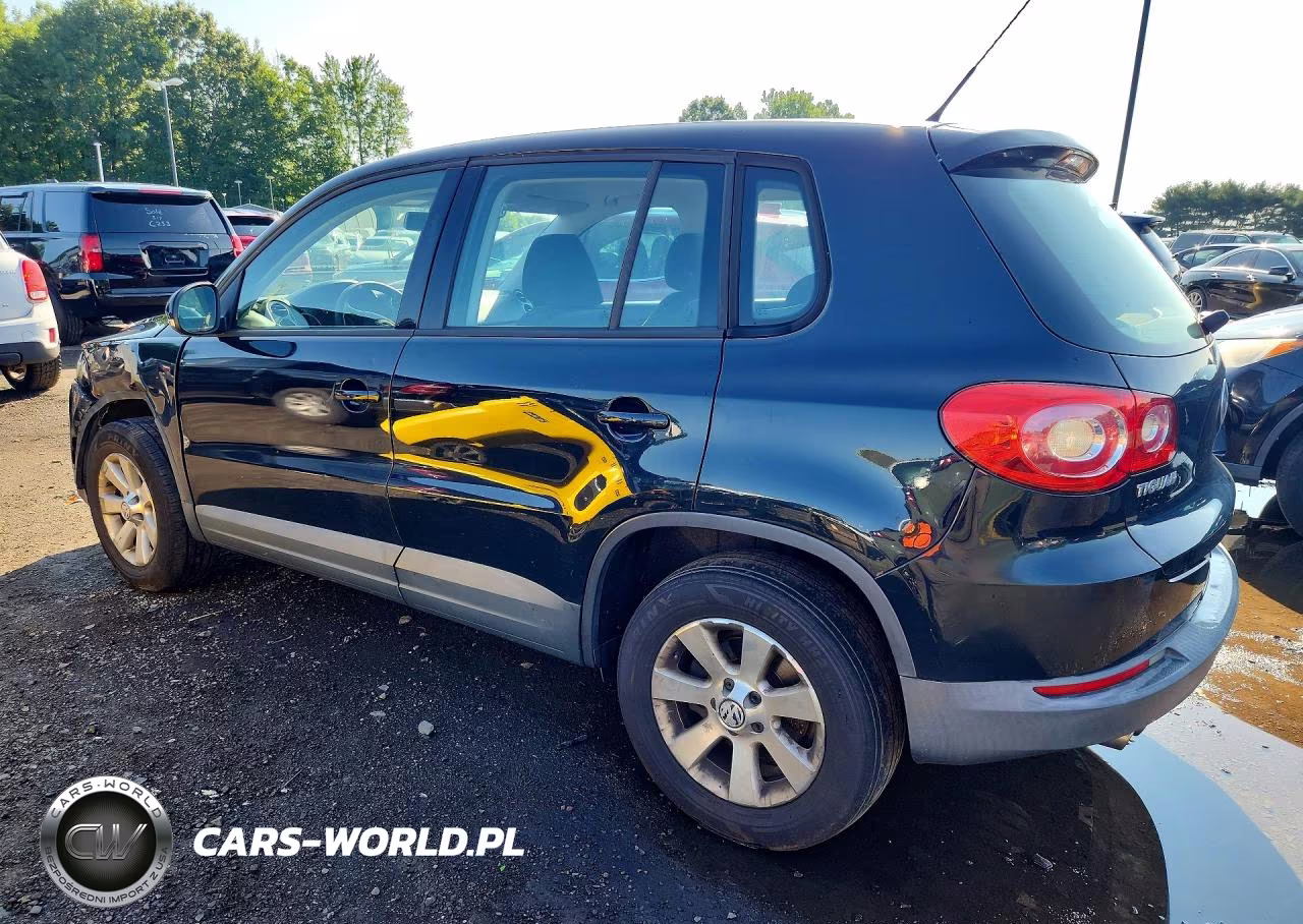 2010 Volkswagen Tiguan S VIN:WVGAV9AX9AW521167 - 2