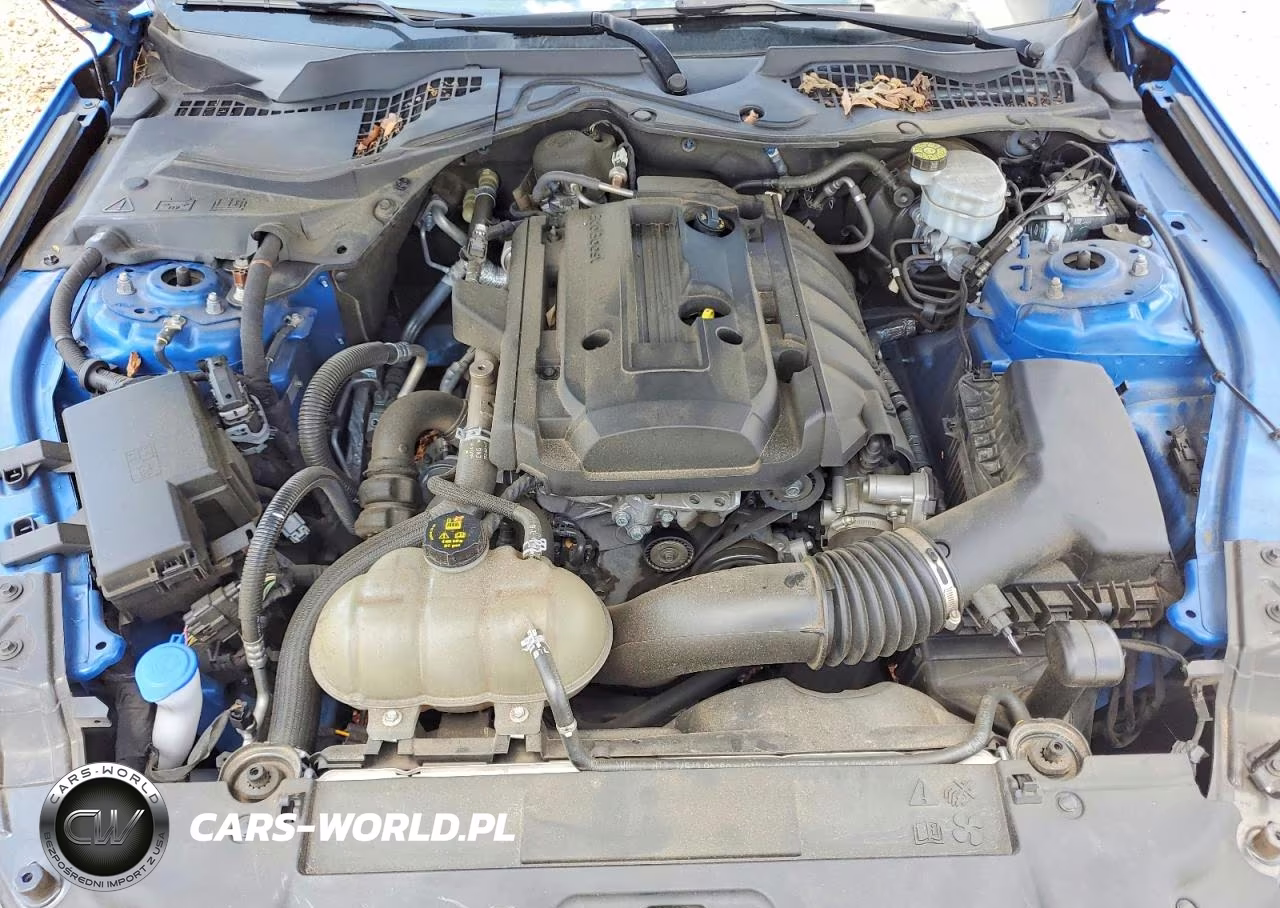 2020 Ford Mustang VIN:1FA6P8TH2L5175062 - 11