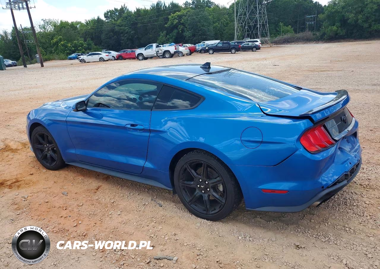 2020 Ford Mustang VIN:1FA6P8TH2L5175062 - 2