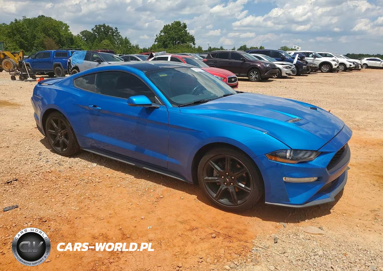 2020 Ford Mustang VIN:1FA6P8TH2L5175062 - 4