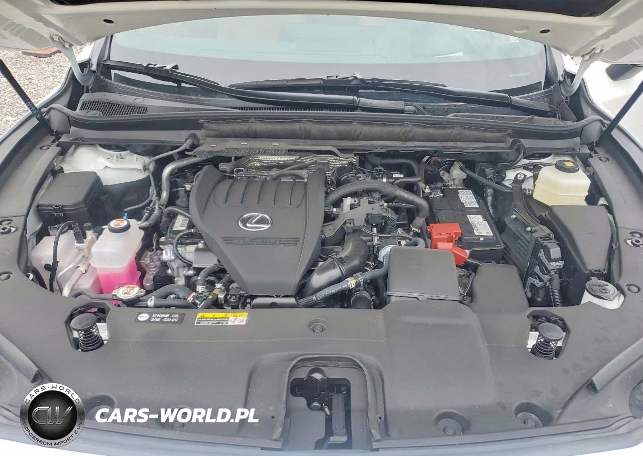 2025 Lexus Rx 350 Premium+ VIN:2T2BAMCA9SC093512 - 12