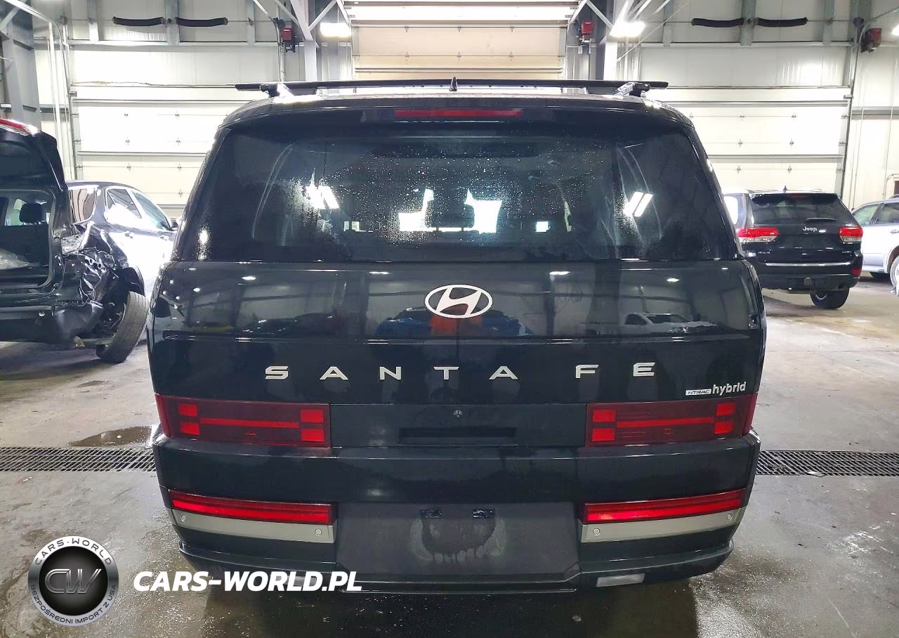 2024 Hyundai Santa Fe Limited VIN:5NMP3DG16RH005888 - 6