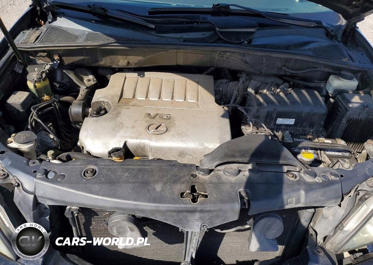 2009 Lexus Rx 350 VIN:2T2HK31U39C132894 - 12