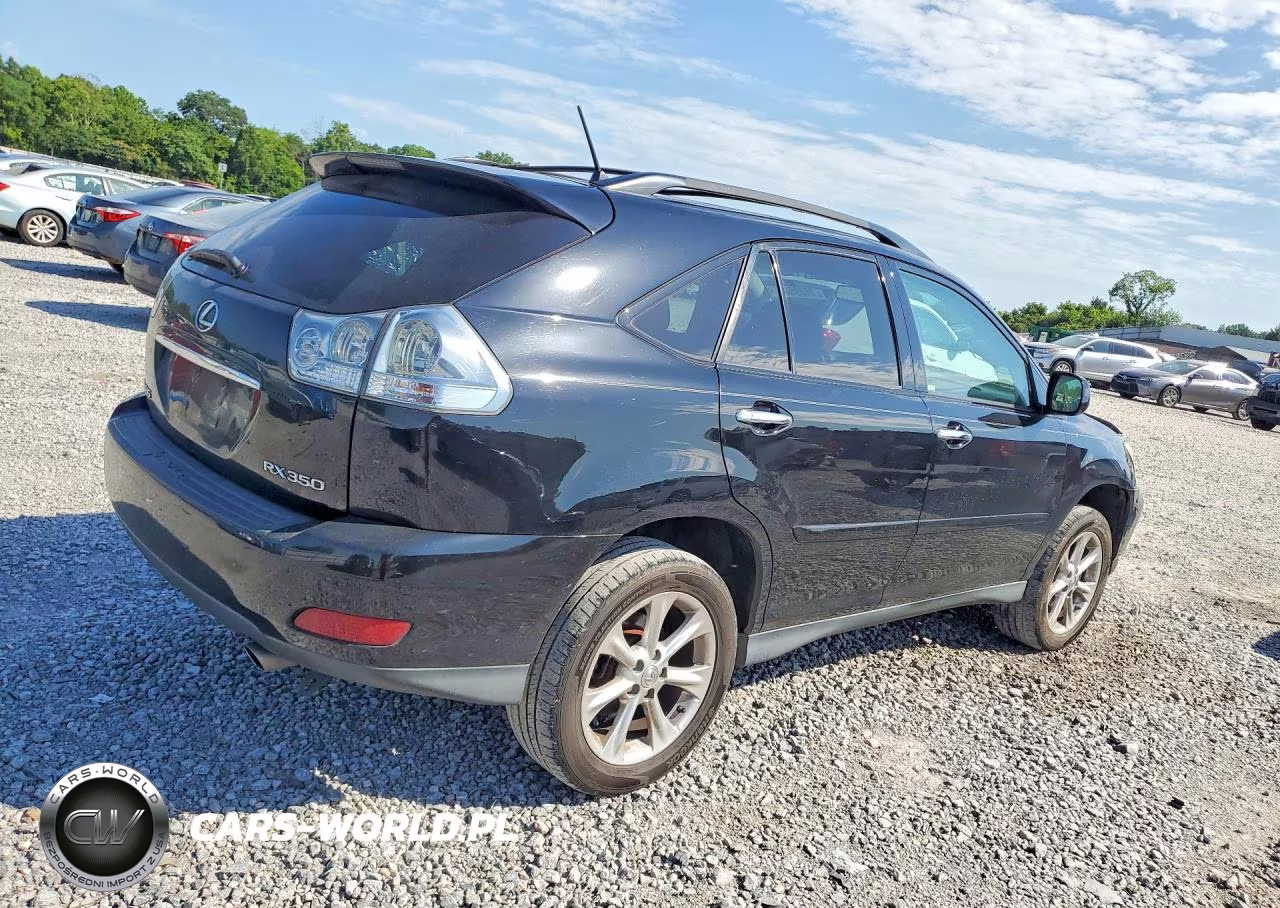 2009 Lexus Rx 350 VIN:2T2HK31U39C132894 - 3