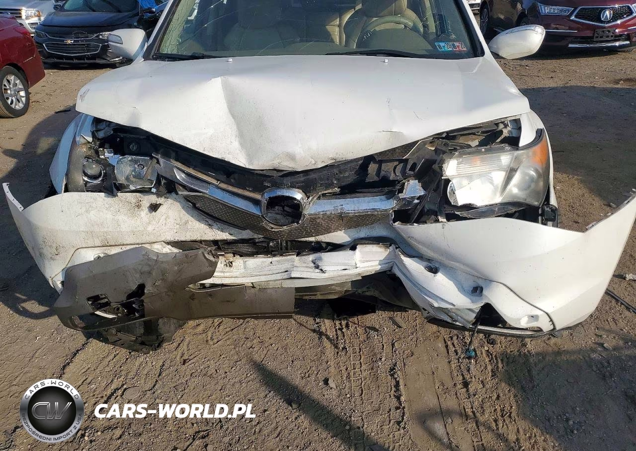 2009 Acura Mdx VIN:2HNYD28289H520118 - 12