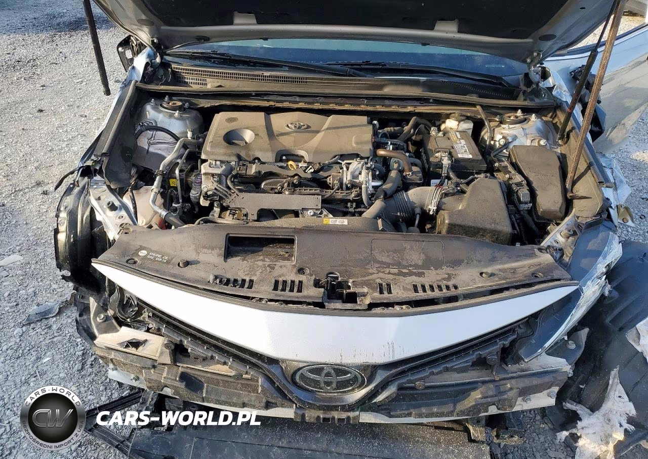 2020 Toyota Camry Le VIN:4T1C11AK6LU900118 - 11