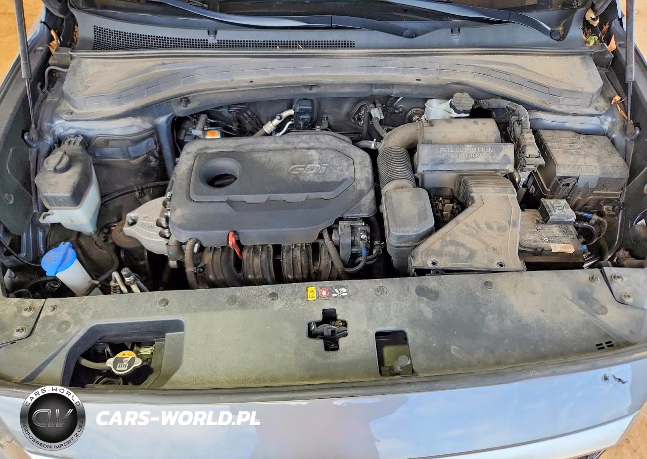 2020 Hyundai Santa Fe Sel VIN:5NMS33AD4LH177707 - 12