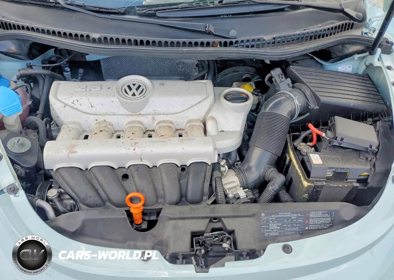 2010 Volkswagen New Beetle VIN:3VWRW3AG3AM027319 - 11