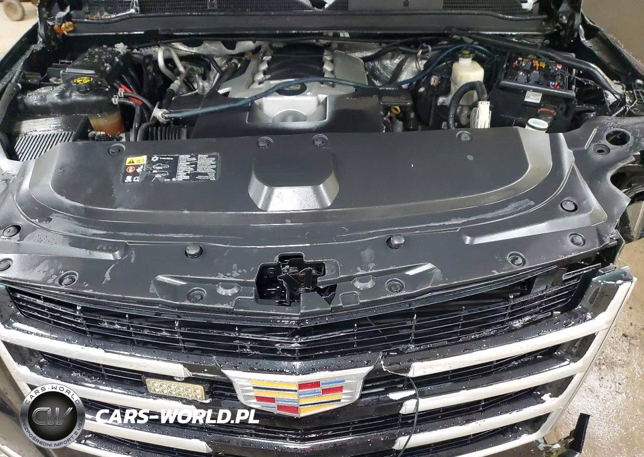 2016 Cadillac Escalade Luxury VIN:1GYS4BKJ4GR248542 - 12