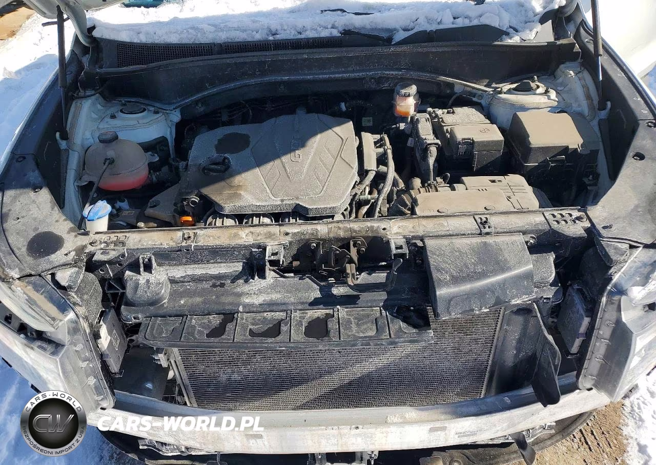 2021 Hyundai Santa Fe Se VIN:5NMS1DAJ0MH345023 - 12