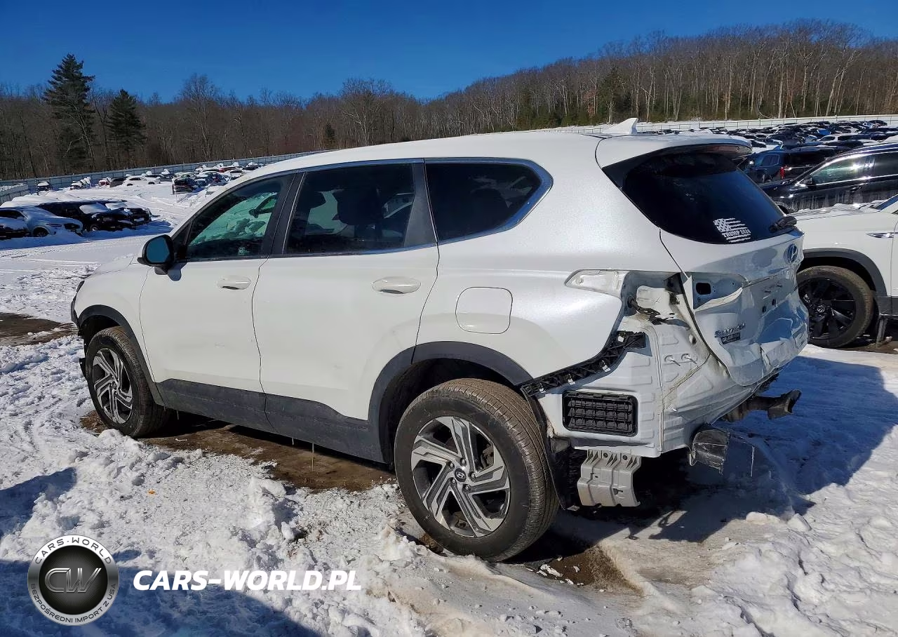 2021 Hyundai Santa Fe Se VIN:5NMS1DAJ0MH345023 - 2