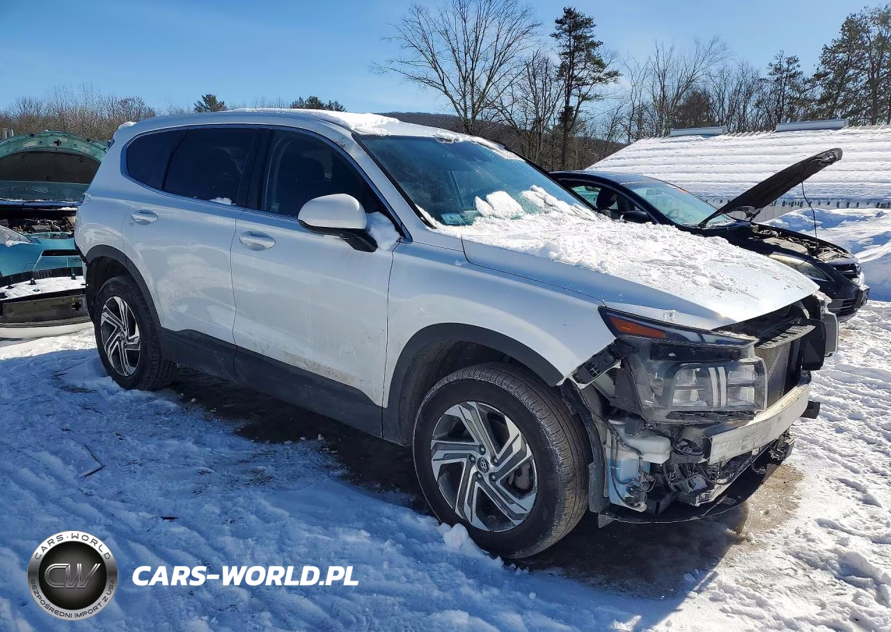 2021 Hyundai Santa Fe Se VIN:5NMS1DAJ0MH345023 - 4