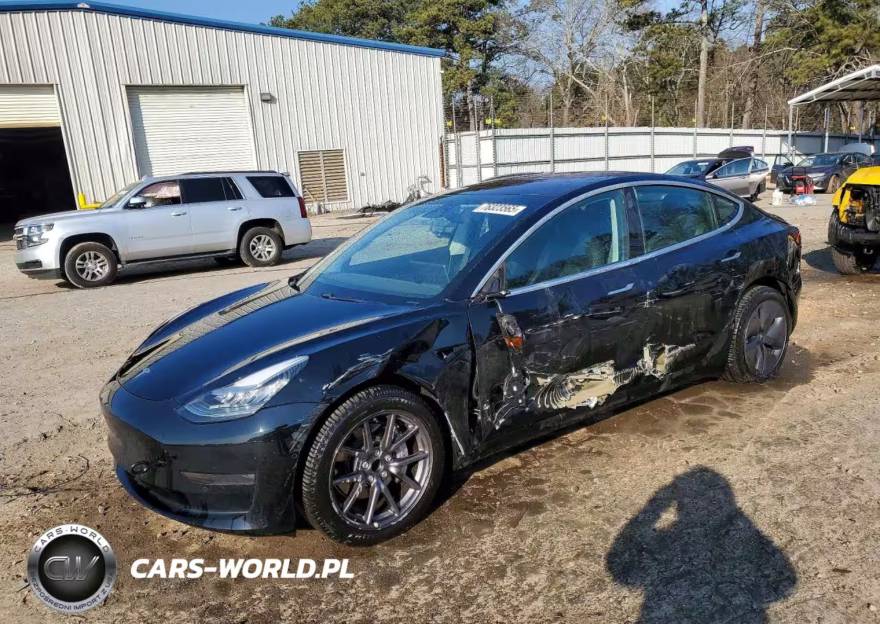 2019 Tesla Model 3