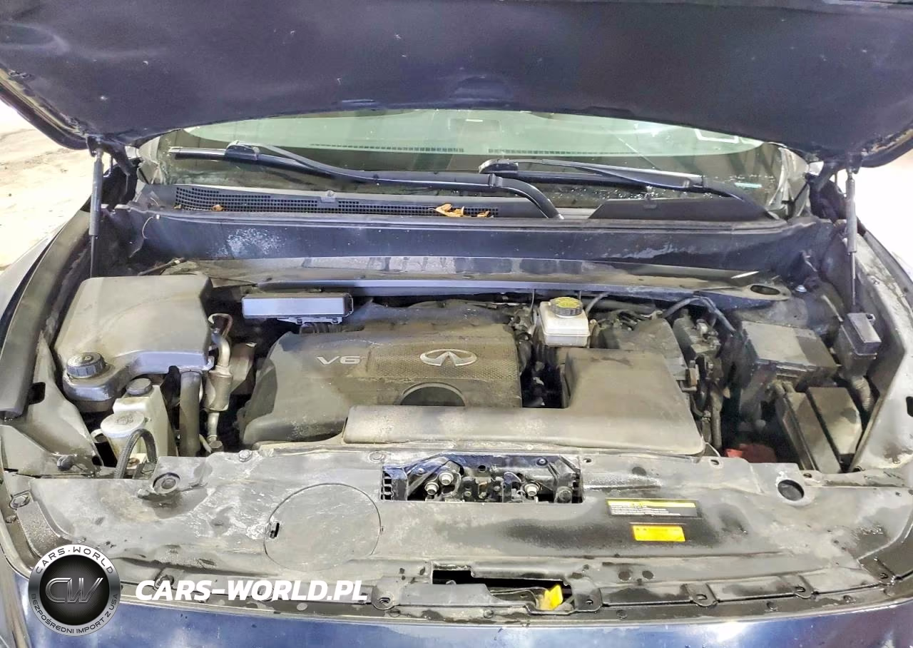 2019 Infiniti Qx60 Luxe VIN:5N1DL0MM9KC562580 - 12