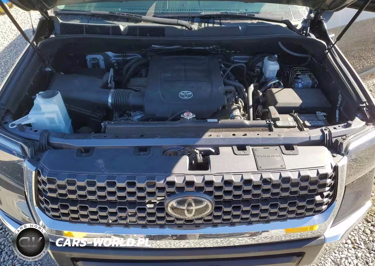 2019 Toyota Tundra Crewmax Sr5 VIN:5TFDY5F15KX785732 - 11