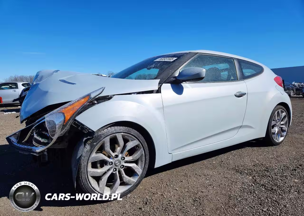 2014 Hyundai Veloster Re:flex