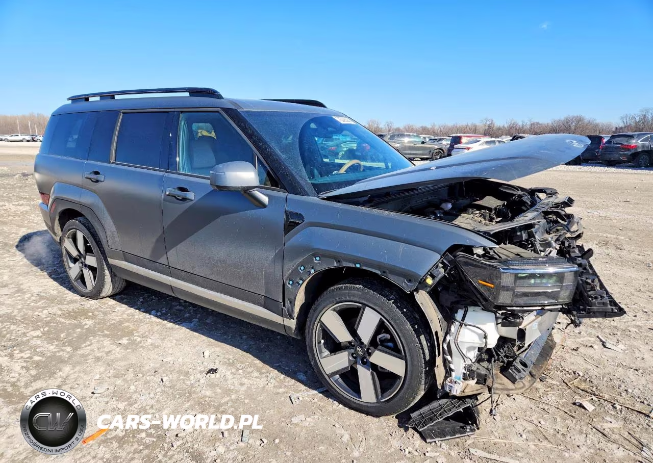 2025 Hyundai Santa Fe Limited VIN:5NMP4DGL2SH093598 - 4