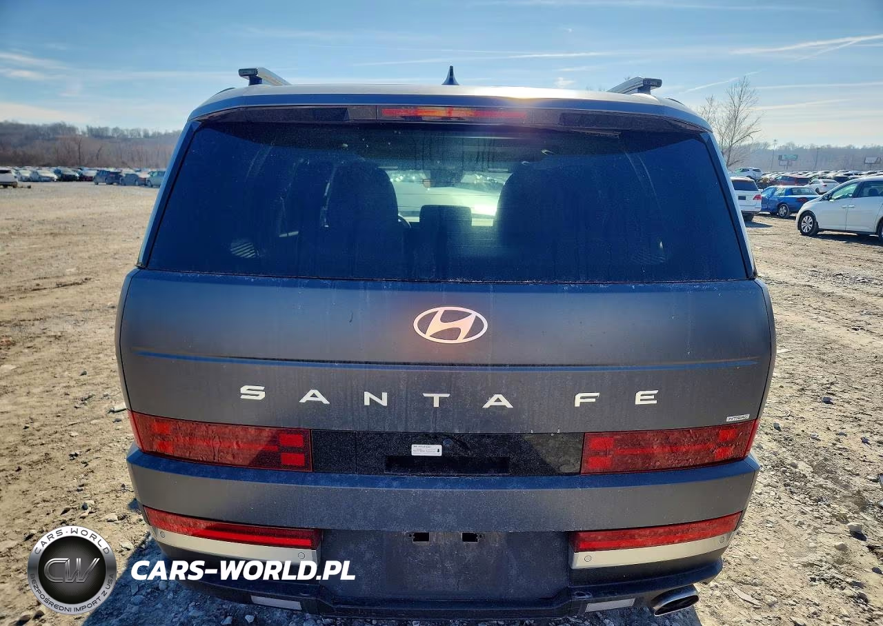 2025 Hyundai Santa Fe Limited VIN:5NMP4DGL2SH093598 - 6