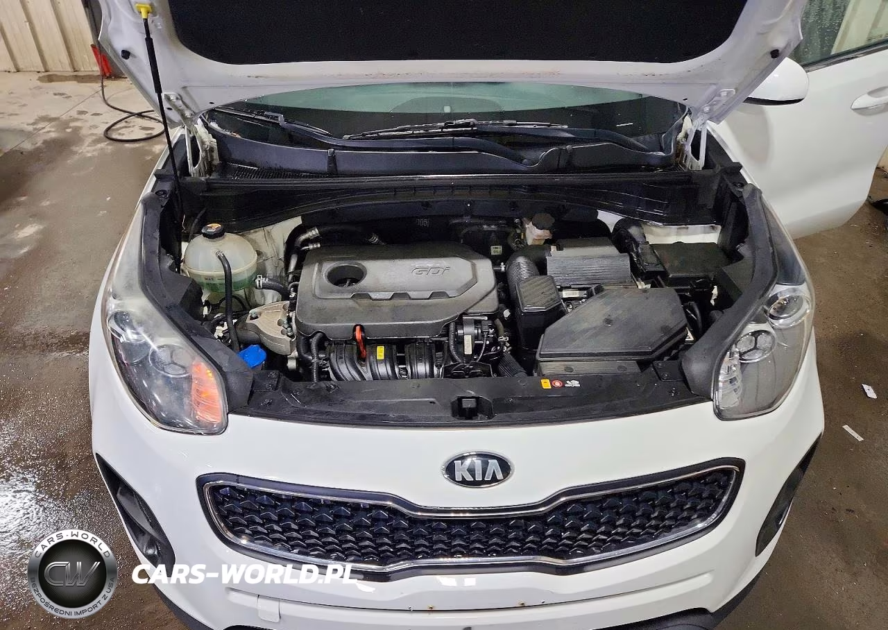 2018 Kia Sportage Lx VIN:KNDPM3AC2J7454689 - 12
