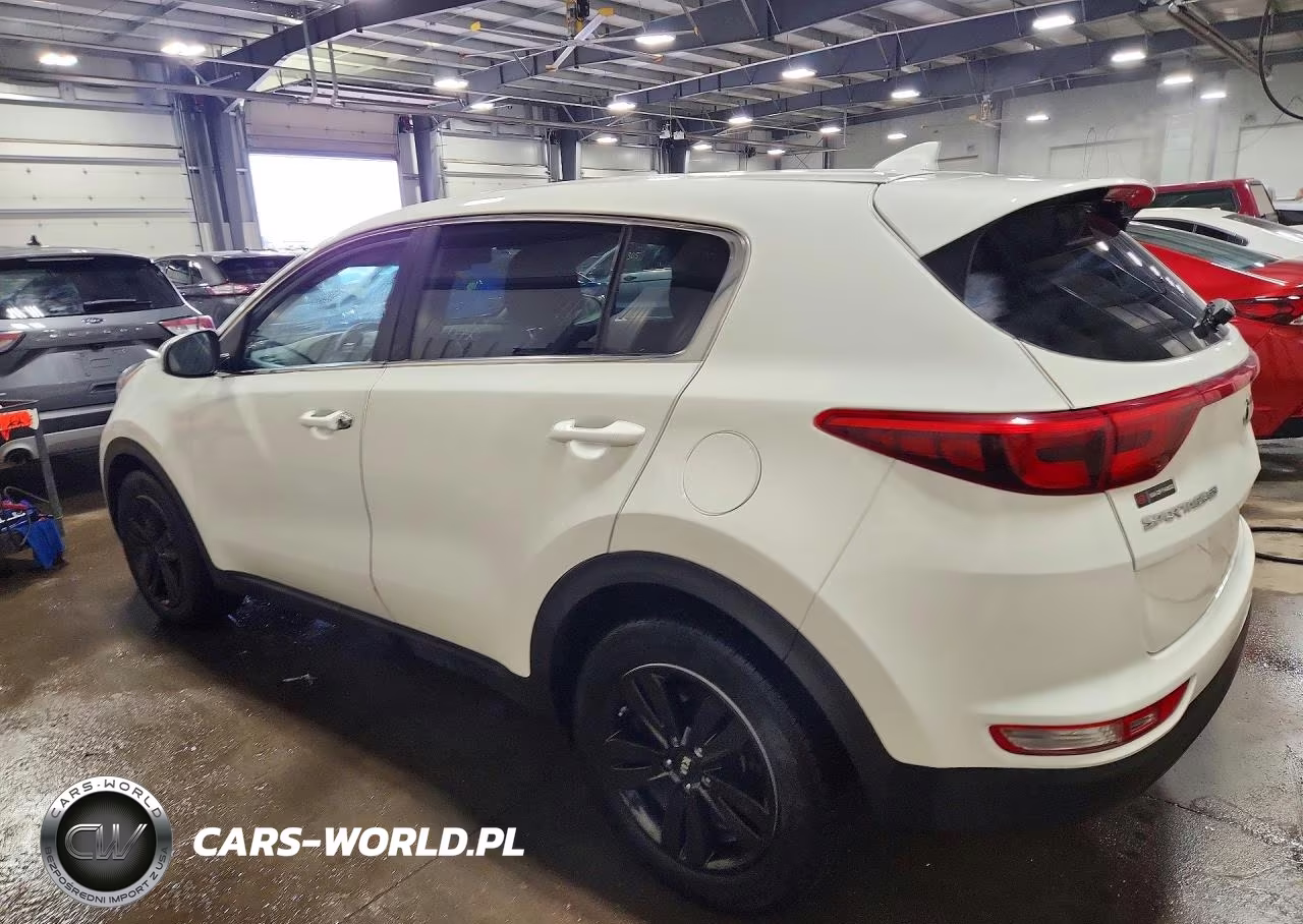2018 Kia Sportage Lx VIN:KNDPM3AC2J7454689 - 2