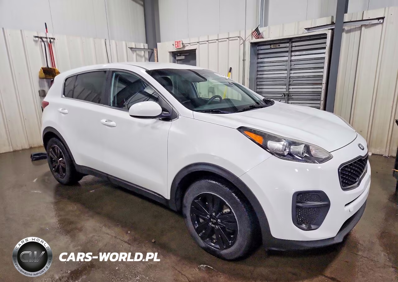 2018 Kia Sportage Lx VIN:KNDPM3AC2J7454689 - 4