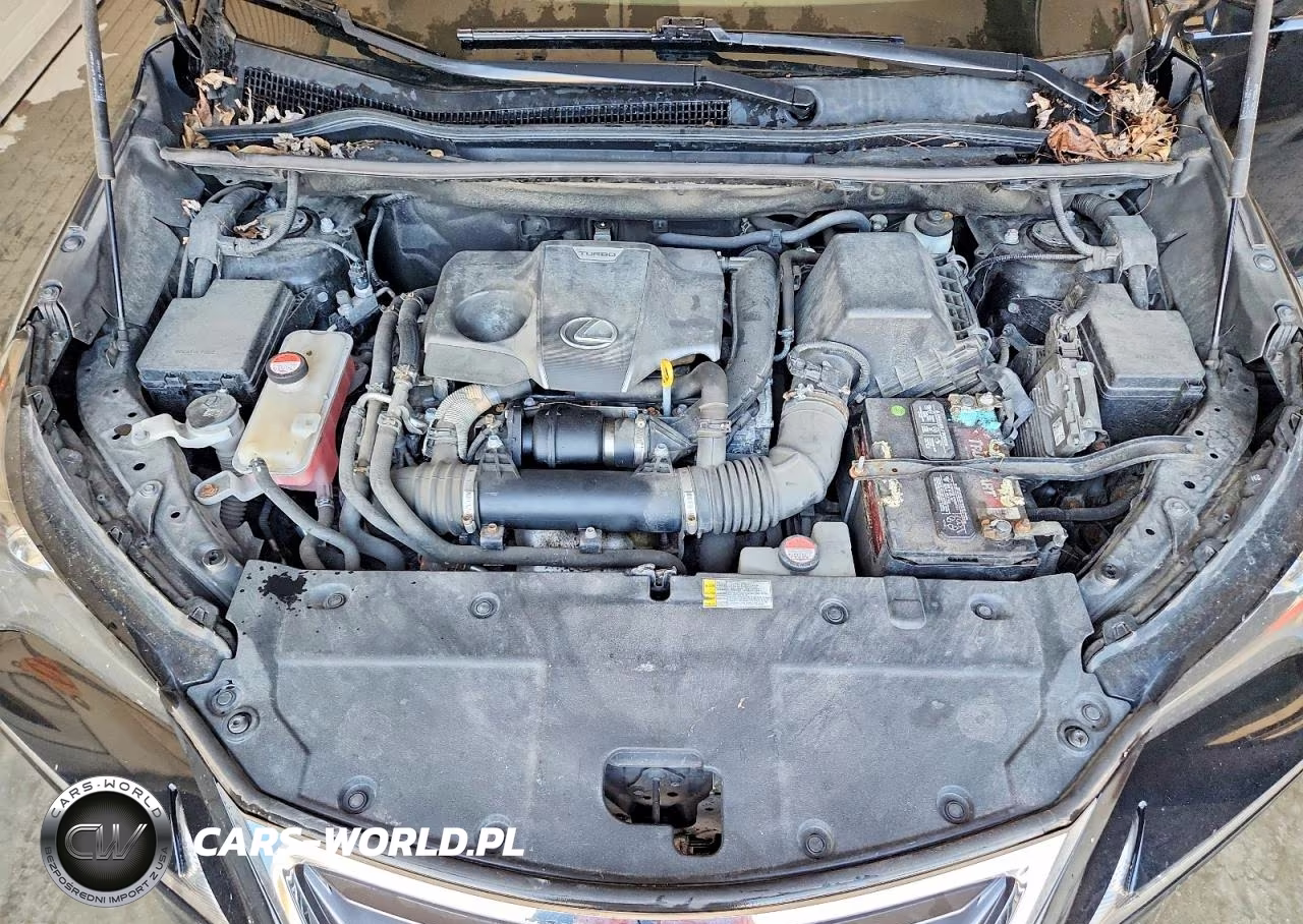 2015 Lexus Nx 200T Base VIN:JTJYARBZ6F2014964 - 12