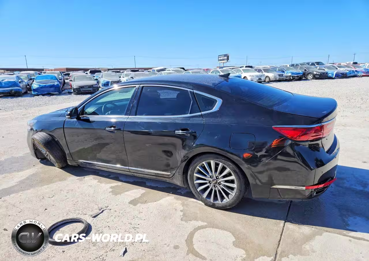 2019 Kia Cadenza Premium VIN:KNALB4J18K5172687 - 2