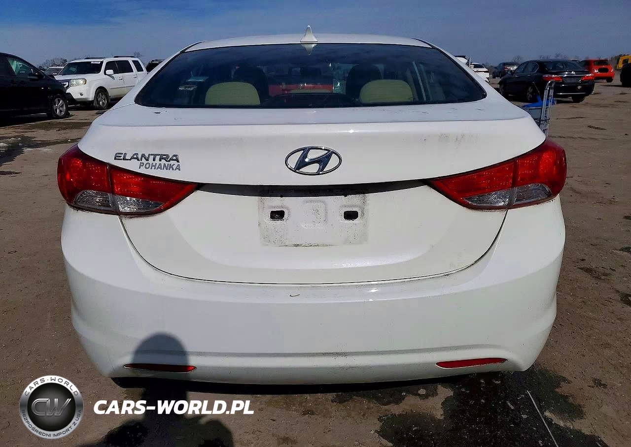 2014 Hyundai Elantra VIN:5NPDH4AE7DH408757 - 6