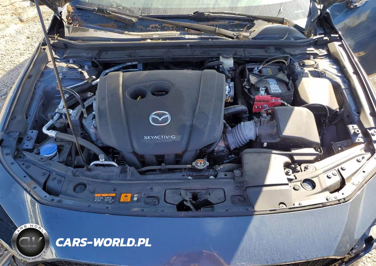 2019 Mazda 3 Premium VIN:JM1BPBNM3K1124286 - 11