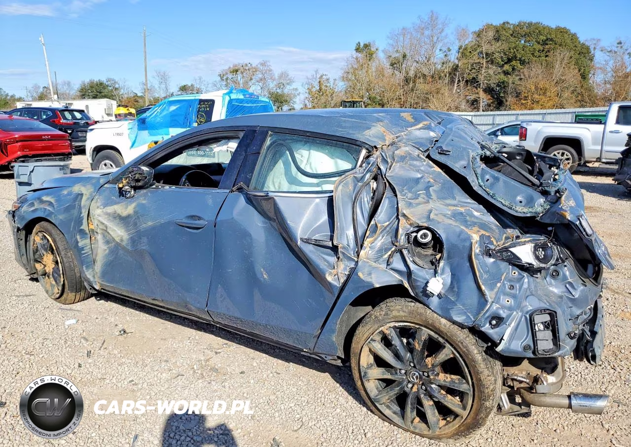 2019 Mazda 3 Premium VIN:JM1BPBNM3K1124286 - 2