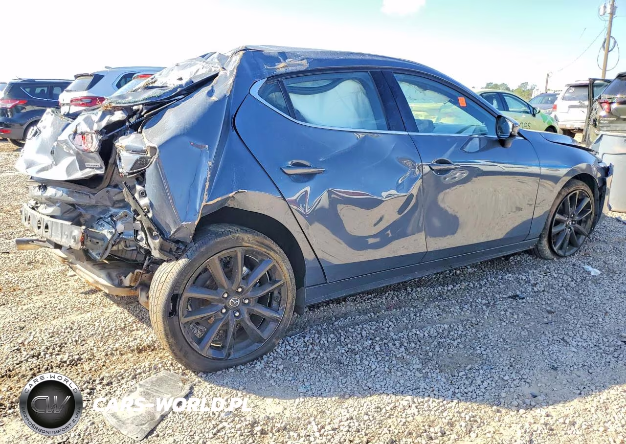 2019 Mazda 3 Premium VIN:JM1BPBNM3K1124286 - 3