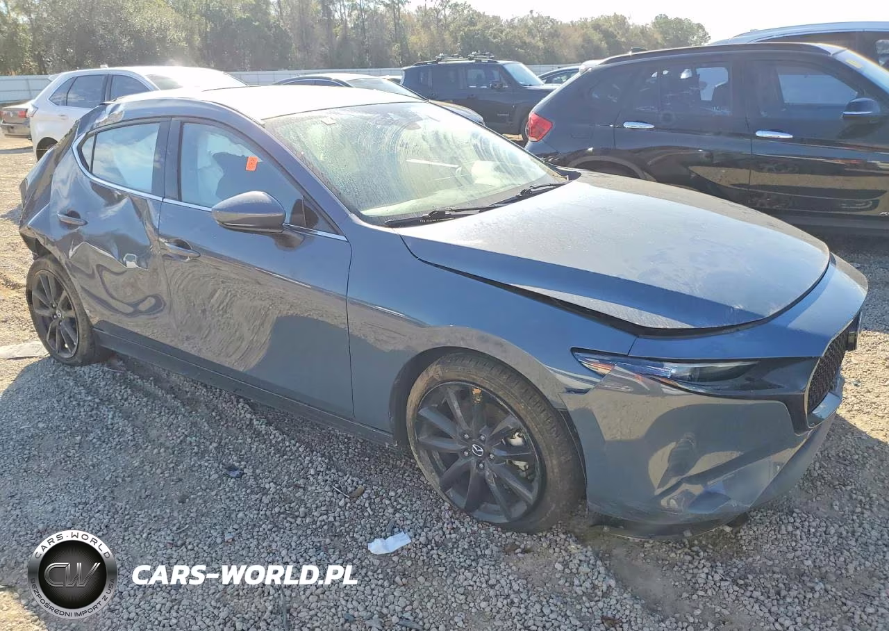2019 Mazda 3 Premium VIN:JM1BPBNM3K1124286 - 4