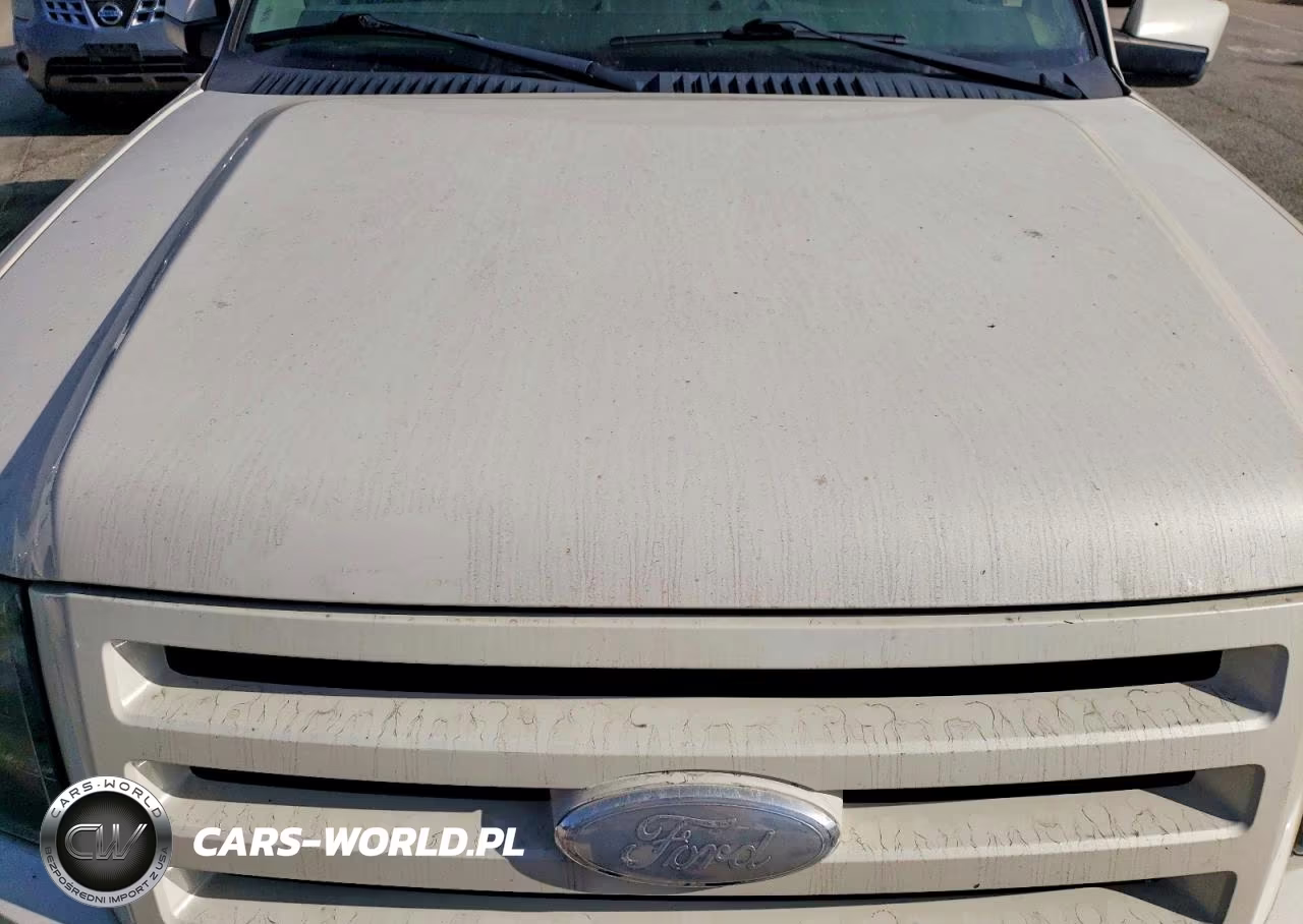 2007 Ford Expedition Limited VIN:1FMFU20557LA99389 - 12