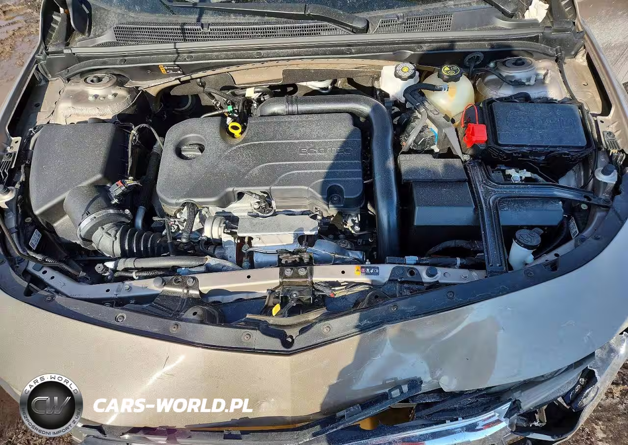 2023 Chevrolet Malibu Ls VIN:1G1ZB5ST3PF235448 - 11