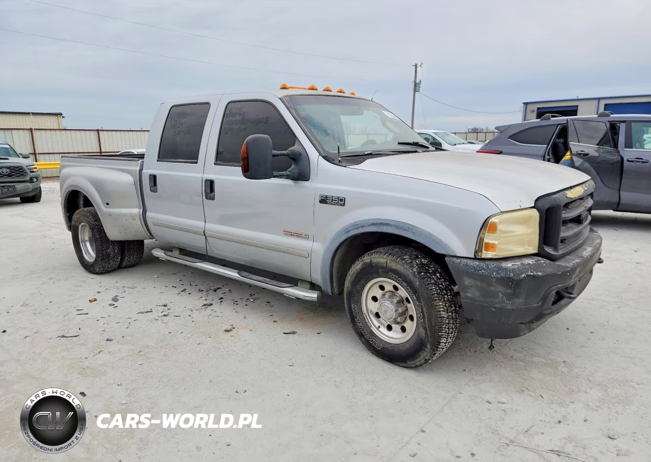 2004 Ford F250 Super Duty VIN:1FTNW20P94EA61689 - 4