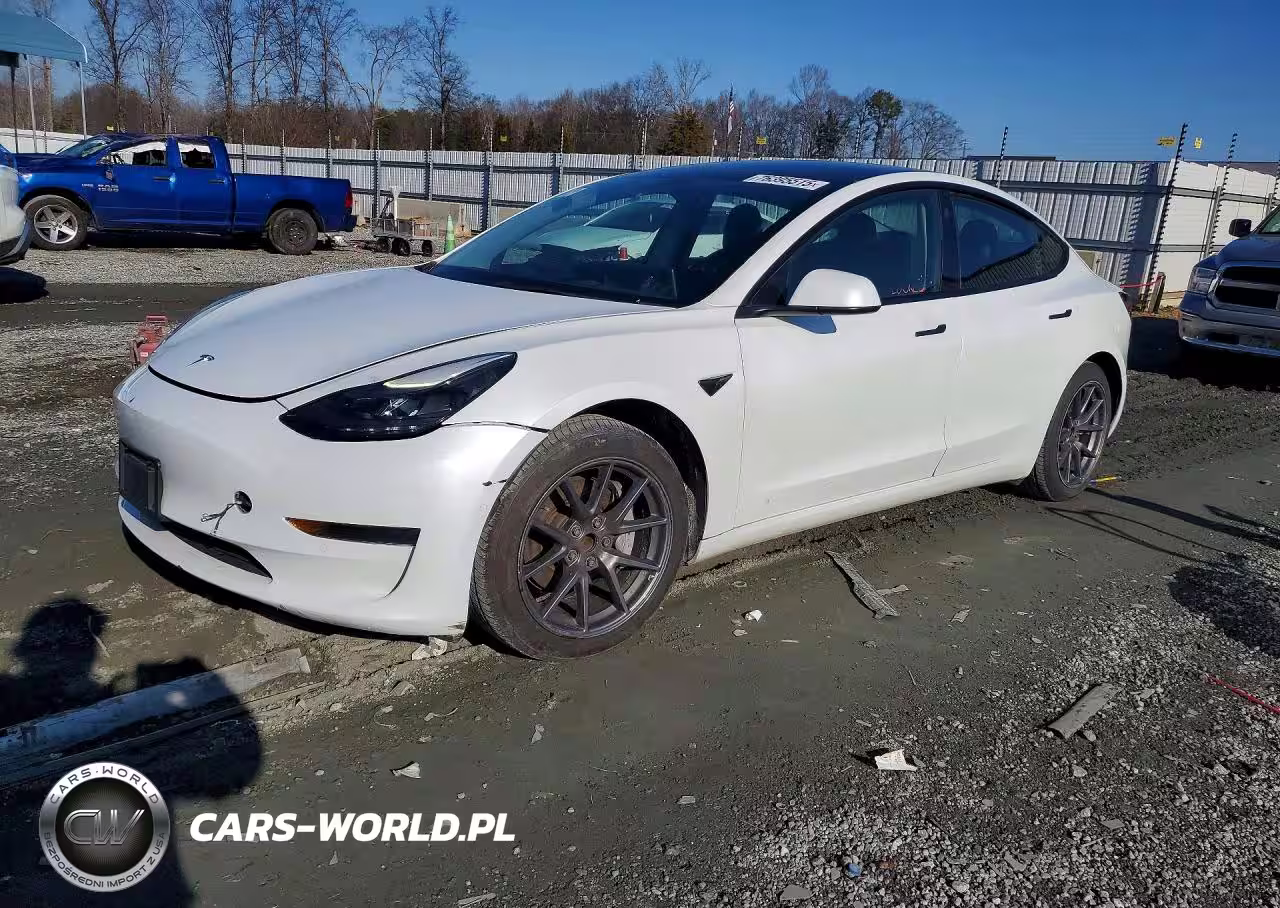 2021 Tesla Model 3