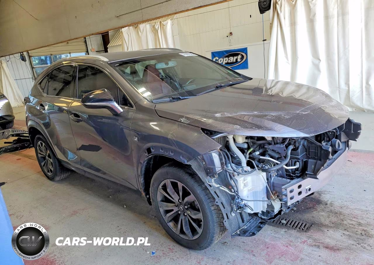 2016 Lexus Nx 200T F Sport VIN:JTJYARBZ5G2038805 - 4