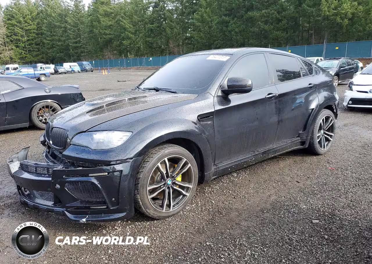 2010 BMW X6 xDrive50I