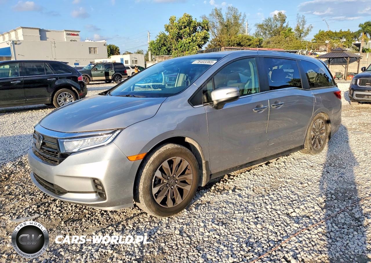 2024 Honda Odyssey Exl