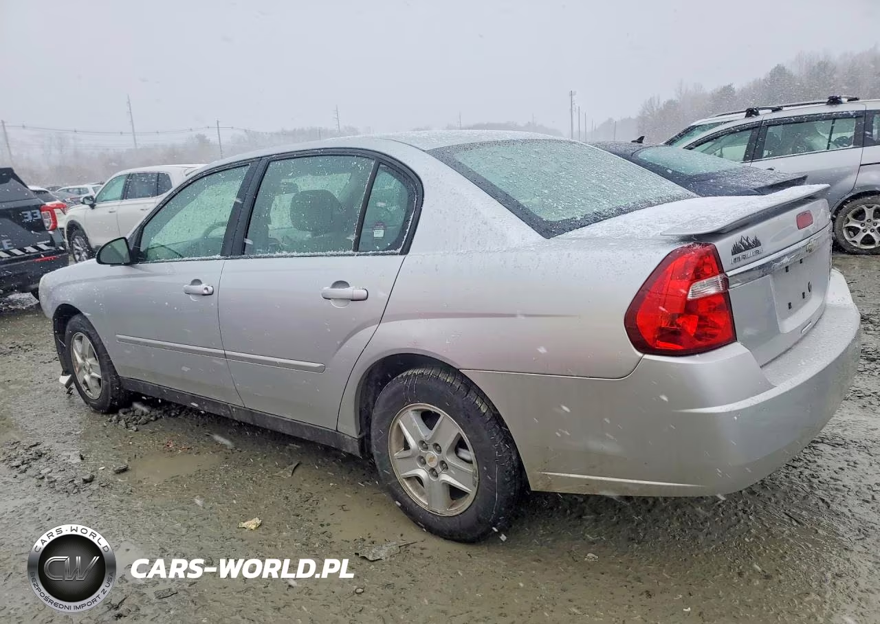 2005 Chevrolet Malibu Ls VIN:1G1ZT54865F294240 - 2