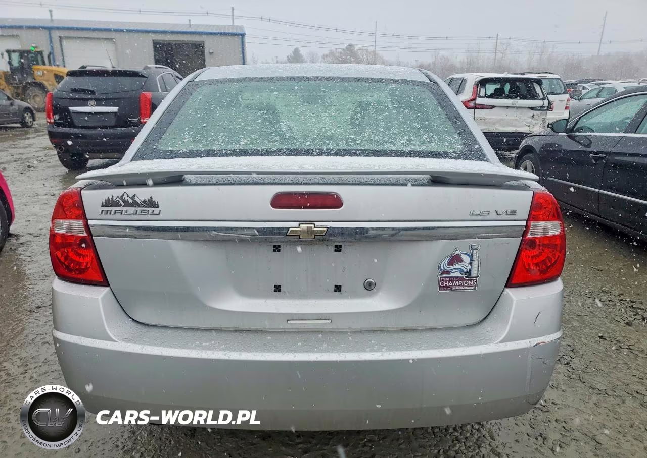 2005 Chevrolet Malibu Ls VIN:1G1ZT54865F294240 - 6