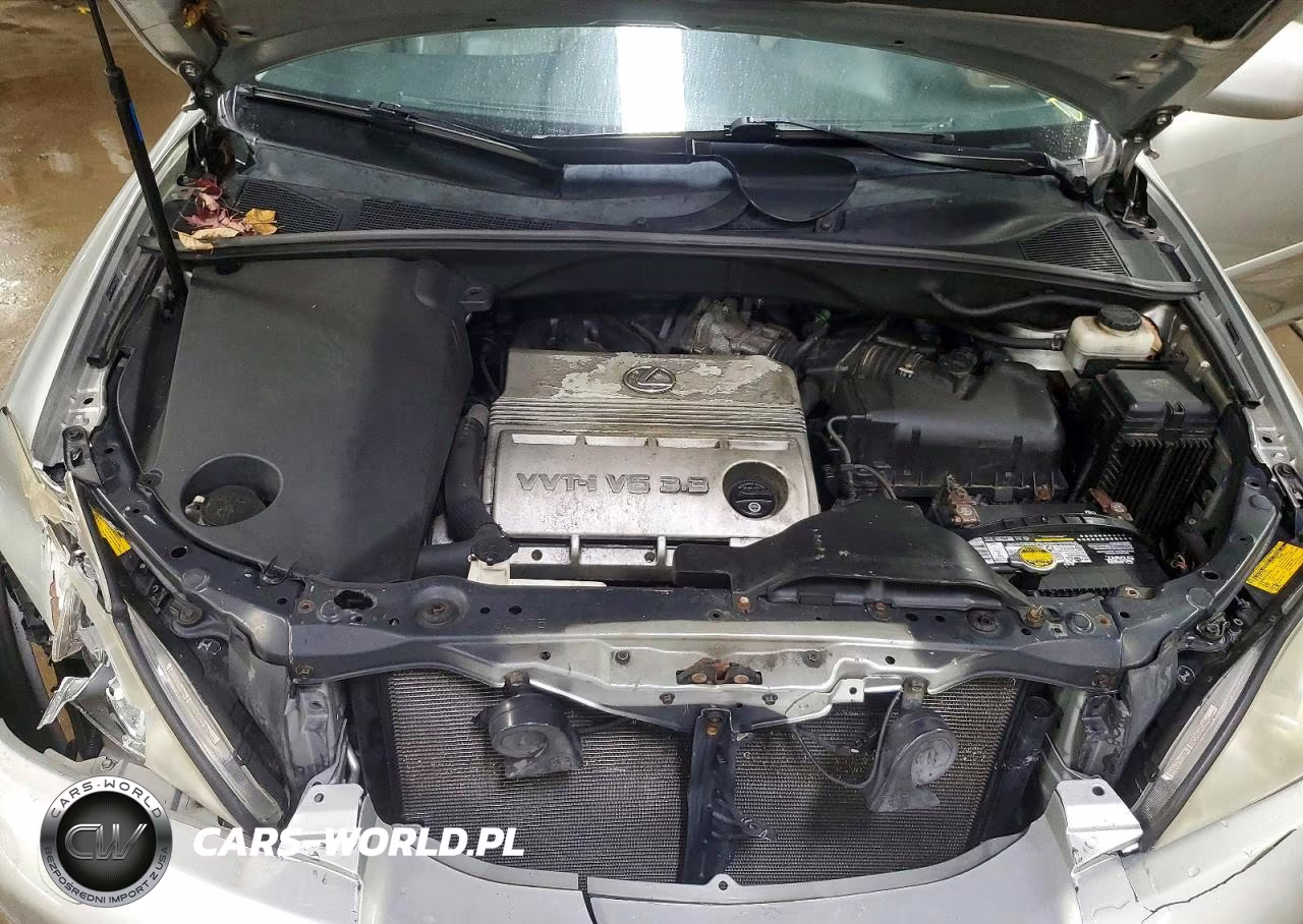 2004 Lexus Rx 330 VIN:2T2HA31U34C021046 - 11