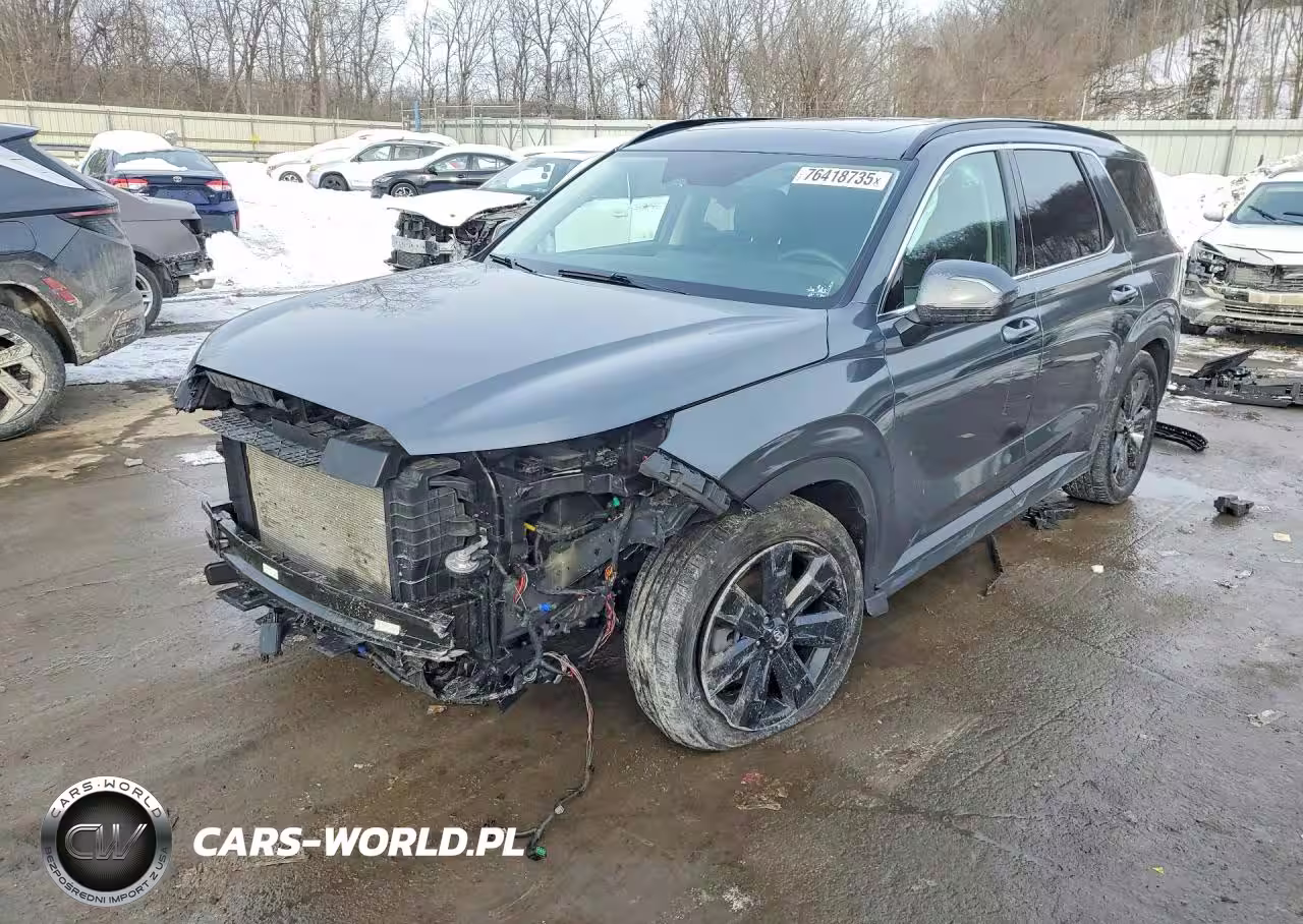 2024 Hyundai Palisade Xrt