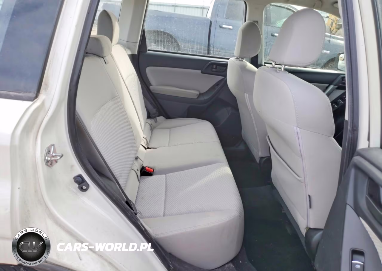 2017 Subaru Forester 2.5I VIN:JF2SJABC9HH407347 - 10