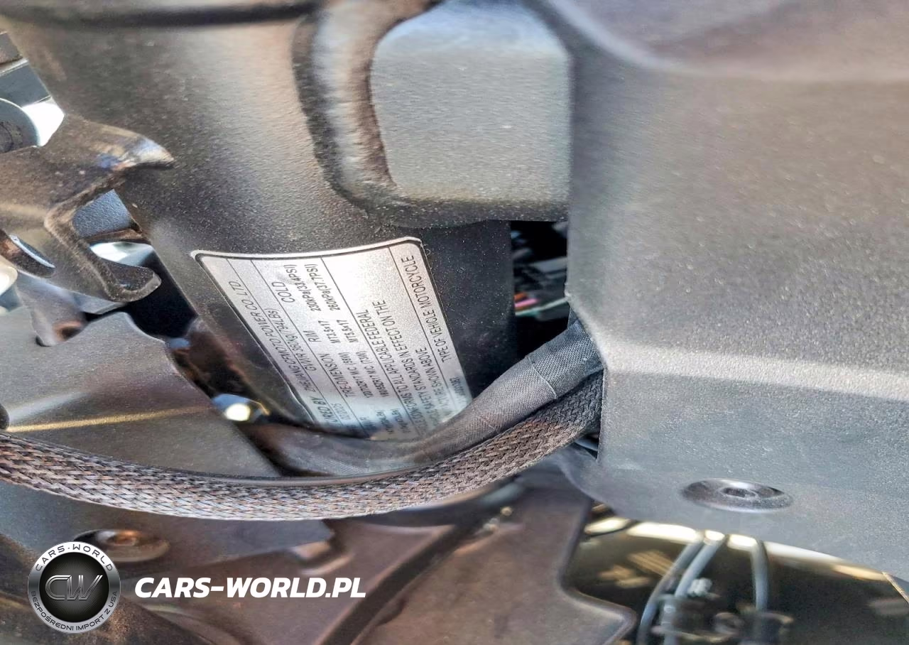 2025 Cf Moto 675Ss VIN:LCEPEVLP1S6001387 - 9