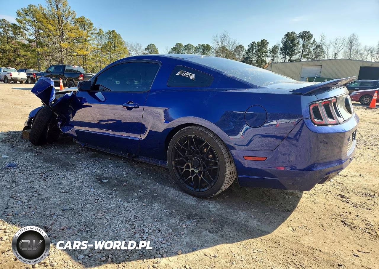 2014 Ford Mustang Gt VIN:1ZVBP8CF8E5310049 - 2