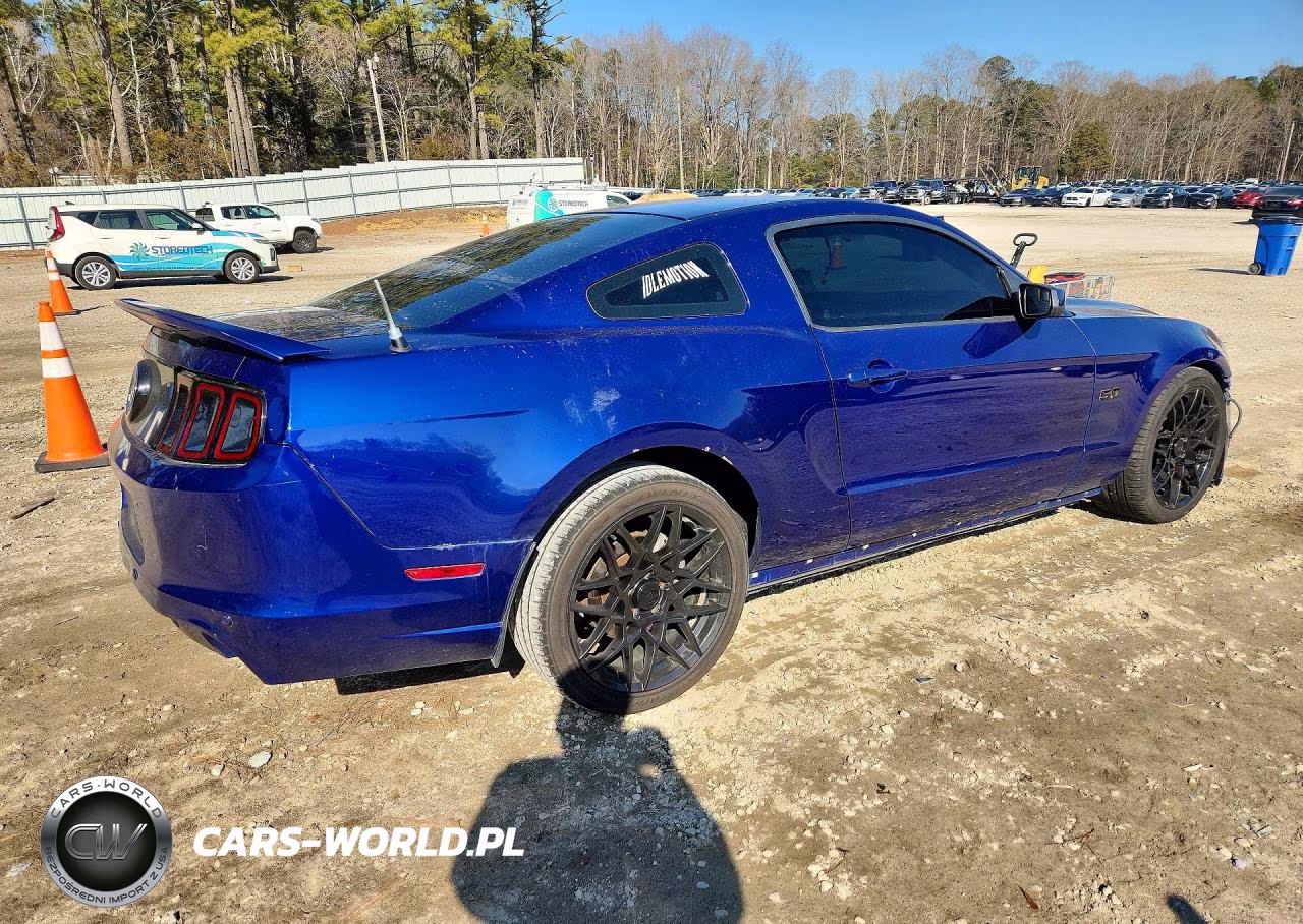 2014 Ford Mustang Gt VIN:1ZVBP8CF8E5310049 - 3
